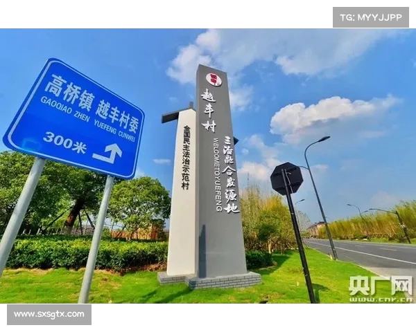 降级区发展与转型:探索新兴区域经济路径与社会融合模式 降级区发展与转型:探索新兴区域经济路径与社会融合模式