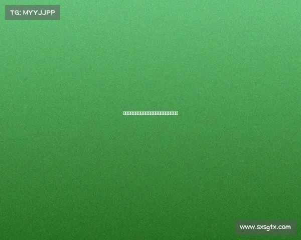 维萨预计将于周二回归布伦特福德训练并恢复备战