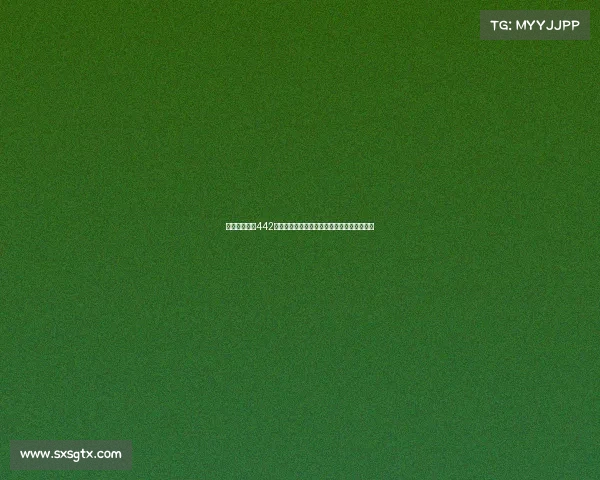 西甲球队常用442阵型战术解析及其在现代足球中的应用与优势